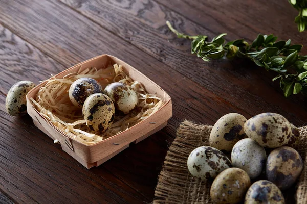 Composition of eggs quail box, eggs on a homespun napkin, boxwood on wooden background, top view — Stock Photo, Image