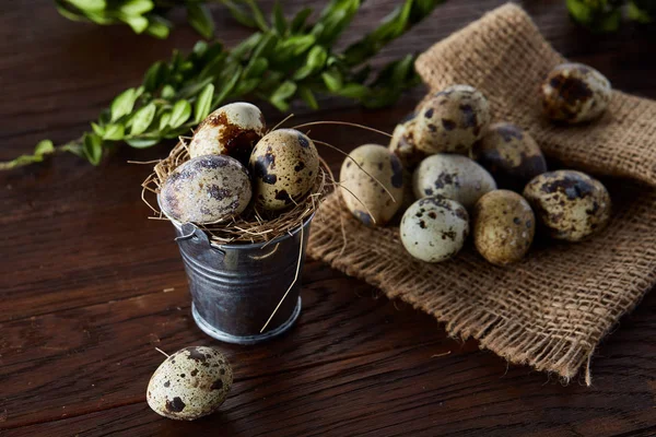 Bıldırcın yumurtası keten peçete ve Şimşir dal, seçici odak demet bahar bileşimi