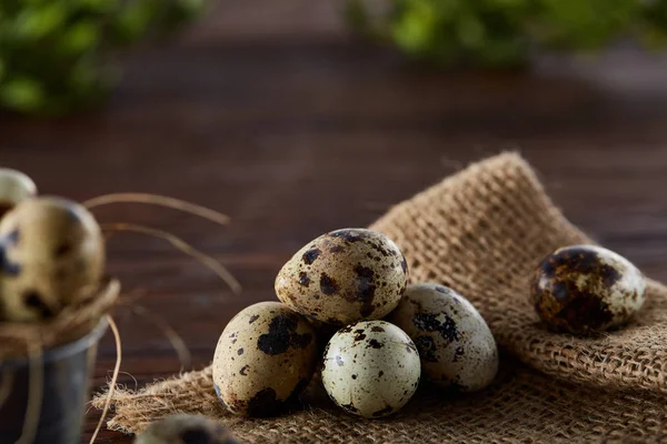 Composizione primaverile di uova di quaglia in secchio su un tovagliolo di lino e un ramo di bosso, messa a fuoco selettiva — Foto Stock