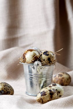 Küçük dekoratif kova peçete bıldırcın yumurtalarının dolu beyaz dokulu arka plan, yakın çekim, seçici odak üzerinde.