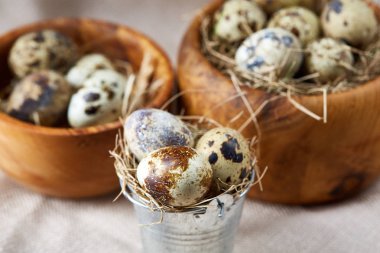 Yumurtalar bıldırcın, gri arka plan, yakın çekim, seçici odak saf bir peçeteye üzerinde yumurta ile kase