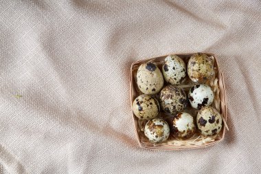 Bıldırcın yumurtası içinde bir rustik ahşap arka plan, üstten görünüm, seçici odak sille.