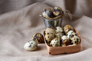 Bıldırcın yumurtası içinde bir rustik ahşap arka plan, üstten görünüm, seçici odak sille.