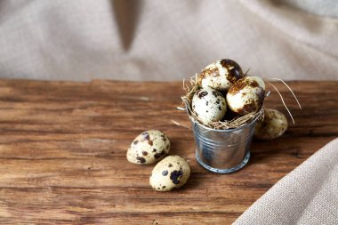 Küçük dekoratif kova bıldırcın yumurtası ahşap tahta üzerinde dolu beyaz arka plan, yakın çekim, seçici odak üzerinde.