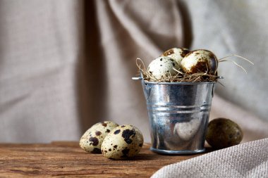 Küçük dekoratif kova bıldırcın yumurtası ahşap tahta üzerinde dolu beyaz arka plan, yakın çekim, seçici odak üzerinde.