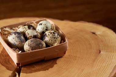 Bıldırcın yumurtası içinde bir yuvarlak günlük, üstten görünüm, seçici odak sille.