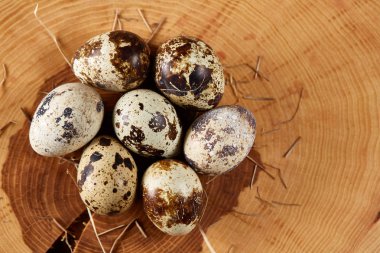 Benekli bıldırcın yumurtası yuvarlak günlüğüyle boşluk, tarih seçici odak düzenlenmiş.