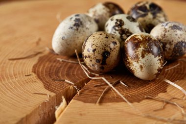 Benekli bıldırcın yumurtası yuvarlak günlüğüyle boşluk, tarih seçici odak düzenlenmiş.