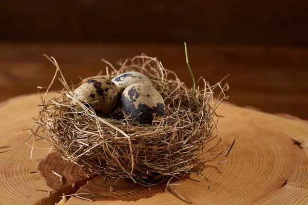 Conceptual still-life with quail eggs in hay nest on a log, close up, selective focus — Stock Photo, Image