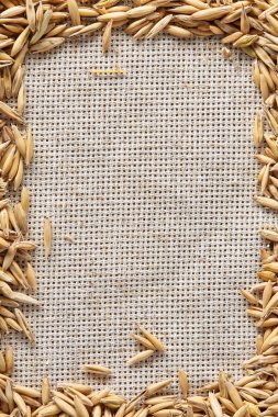 Çuval bezi arka plan, üstten görünüm, yakın çekim, makro, seçici odak soyulmamış yulaf taneleri çerçeve yaptı.
