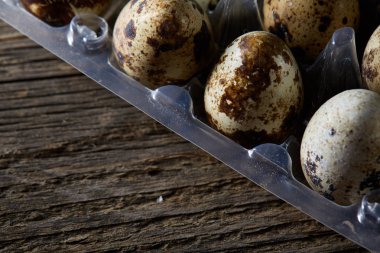 Bıldırcın yumurtası koyu ahşap arka plan, üstten görünüm, seçici odak, sığ derinlik-in tarla plastik bir kap içinde