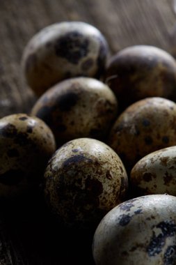 Seçici odak eski ahşap panoları, boşluk, arka plan üzerinde benekli bıldırcın yumurtası düzenlenmiş.