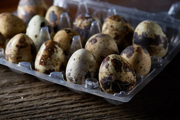 Bıldırcın yumurtası koyu ahşap arka plan, üstten görünüm, seçici odak, sığ derinlik-in tarla plastik bir kap içinde