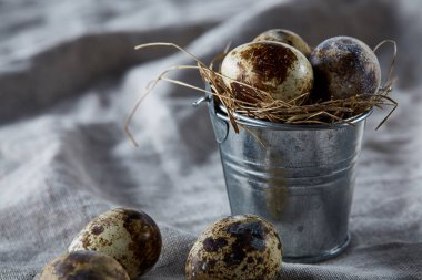 Bıldırcın yumurtası dekoratif bir kova ve bazı yumurta bir saf masa örtüsü, üstten görünüm, yakın çekim