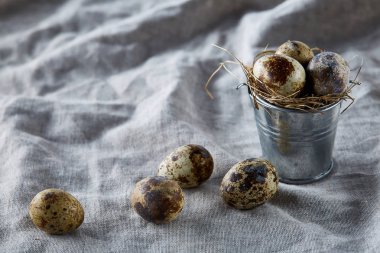 Bıldırcın yumurtası dekoratif bir kova ve bazı yumurta bir saf masa örtüsü, üstten görünüm, yakın çekim