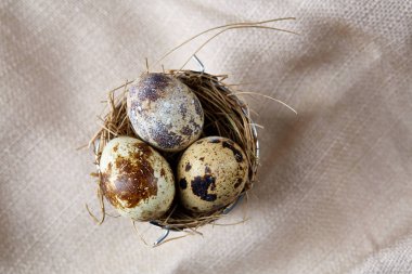 Bıldırcın yumurtası dekoratif bir kova ve bazı yumurta bir saf masa örtüsü, üstten görünüm, yakın çekim