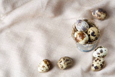 Bıldırcın yumurtası dekoratif bir kova ve bazı yumurta bir saf masa örtüsü, üstten görünüm, yakın çekim