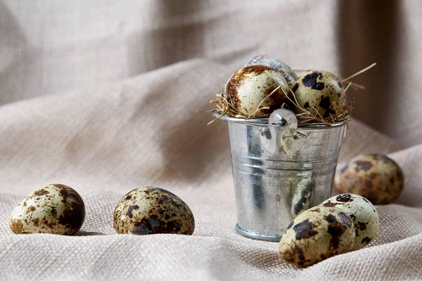 Bıldırcın yumurtası dekoratif bir kova ve bazı yumurta bir saf masa örtüsü, üstten görünüm, yakın çekim