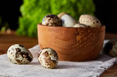 Bıldırcın yumurtası, üstten görünüm, yakın çekim, seçici odak ile sağlıklı salata yapmak için hazırlık