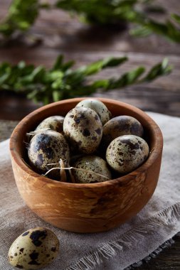 Bıldırcın yumurta, yumurta saf peçeteye, Şimşir ahşap arka plan, yakın çekim, seçici odak ile kase