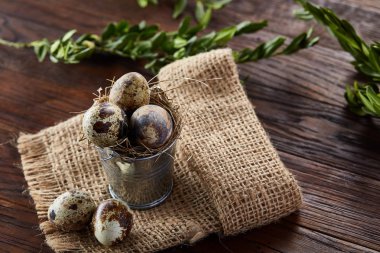 Bıldırcın yumurtası keten peçete ve Şimşir dal, seçici odak demet bahar bileşimi