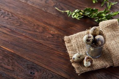 Bıldırcın yumurtası keten peçete ve Şimşir dal, seçici odak demet bahar bileşimi