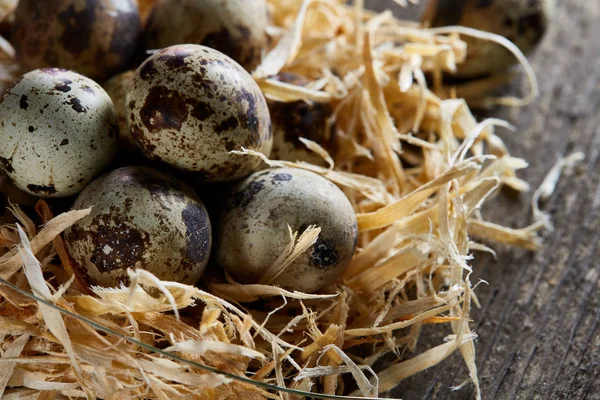 Bodegón conceptual con huevos de codorniz en nido de heno sobre fondo de madera oscura, enfoque selectivo —  Fotos de Stock