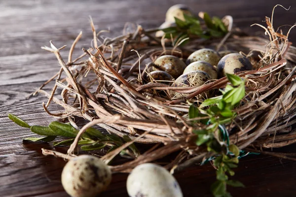 Weidennest mit Wachteleiern auf dunklem Holzgrund, Draufsicht, Nahaufnahme, selektiver Fokus — Stockfoto