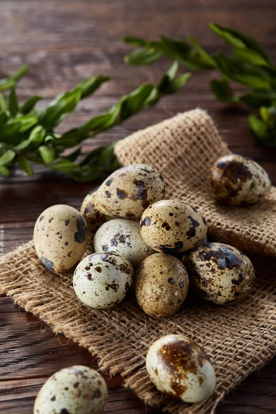 Piramit peçeteye Şimşir dalları ile düzenlenmiş bir ahşap masa, yakın çekim, seçici odak üzerinde bıldırcın yumurtası.