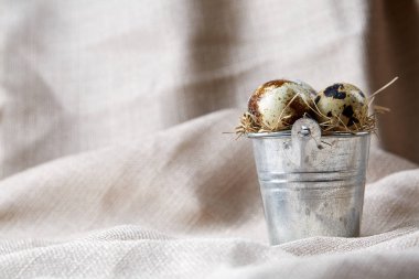 Bıldırcın yumurtası dekoratif bir kova ve bazı yumurta bir saf masa örtüsü, üstten görünüm, yakın çekim