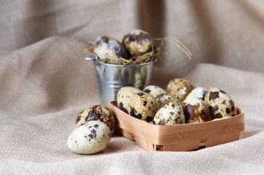 Bıldırcın yumurtası dekoratif bir kova ve bazı yumurta bir saf masa örtüsü, üstten görünüm, yakın çekim