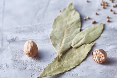 Defne yaprağı, küçük Hindistan cevizi ve baharat beyaz dokulu arka plan, üstten görünüm, yakın çekim, seçici odak.