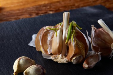 Sarımsak parçaları koyu siyah arka plan üzerine sığ derinliği alan, seçici odak, makro yakın çekim