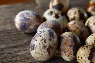 Seçici odak eski ahşap panoları, boşluk, arka plan üzerinde benekli bıldırcın yumurtası düzenlenmiş.