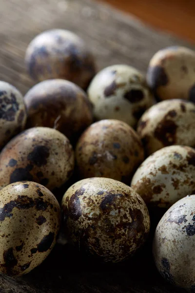 Seçici odak eski ahşap panoları, boşluk, arka plan üzerinde benekli bıldırcın yumurtası düzenlenmiş.