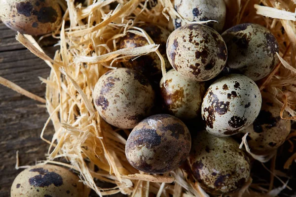 Bodegón conceptual con huevos de codorniz en nido de heno sobre fondo de madera oscura, enfoque selectivo —  Fotos de Stock