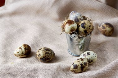 Küçük dekoratif kova peçete bıldırcın yumurtalarının dolu beyaz dokulu arka plan, yakın çekim, seçici odak üzerinde.