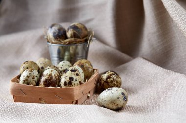 Konteyner ve saf masa örtüsü, yakın çekim, yüksek açılı görünüş, seçici odak dekoratif kovanın bıldırcın yumurtası.