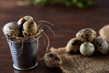 Bıldırcın yumurtası kova, kutu ve ıslak zeminde ahşap arka plan, seçici odak keten bir peçete ile rustik natürmort