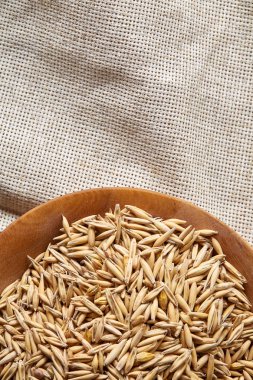 Yulaf kabuğu çıkarılmış tane veya yulaf ani artış ahşap plaka saf masa örtüsü, kopya alanı, üstten görünüm seçici odak üzerinde