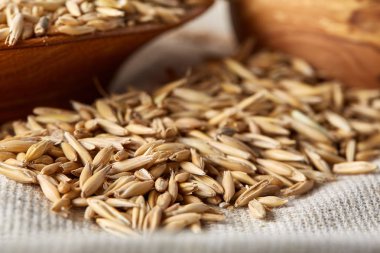 Yulaf kabuğu çıkarılmış tane veya yulaf ani artış ahşap plaka saf masa örtüsü, kopya alanı, üstten görünüm seçici odak üzerinde