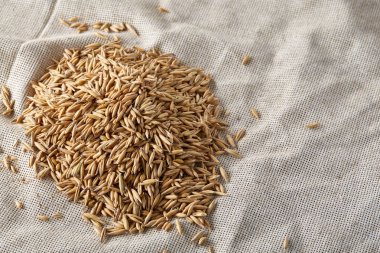 Soyulmamış yulaf taneleri saf masa örtüsü arka plan, üstten görünüm, yakın çekim, makro, seçici odak yığını.