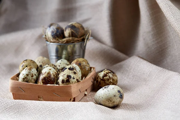 Konteyner ve saf masa örtüsü, yakın çekim, yüksek açılı görünüş, seçici odak dekoratif kovanın bıldırcın yumurtası.