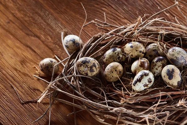 Willow nest met kwartel eieren op de donkere houten achtergrond, bovenaanzicht, close-up, selectieve focus — Stockfoto