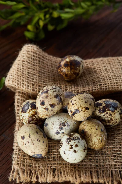 Bıldırcın yumurtası kova, kutu ve ıslak zeminde ahşap arka plan, seçici odak keten bir peçete ile rustik natürmort