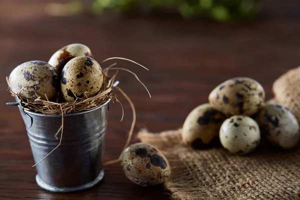Bıldırcın yumurtası kova, kutu ve ıslak zeminde ahşap arka plan, seçici odak keten bir peçete ile rustik natürmort