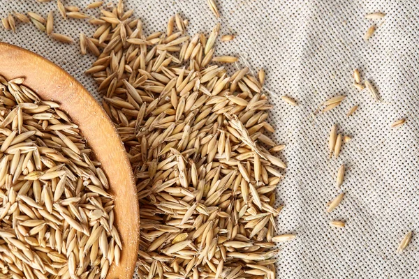 Yulaf kabuğu çıkarılmış tane veya yulaf ani artış ahşap plaka saf masa örtüsü, kopya alanı, üstten görünüm seçici odak üzerinde