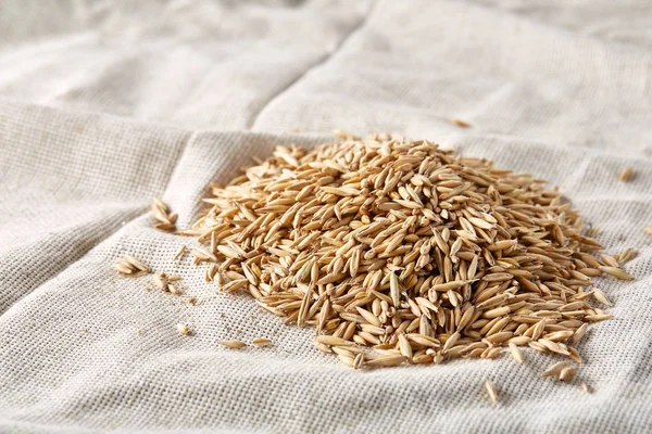 Soyulmamış yulaf taneleri saf masa örtüsü arka plan, üstten görünüm, yakın çekim, makro, seçici odak yığını.