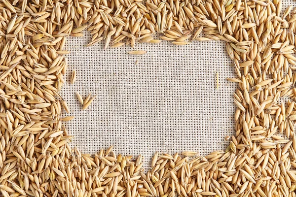 Soyulmamış yulaf taneleri saf masa örtüsü arka plan, üstten görünüm, yakın çekim, makro, seçici odak yığını.