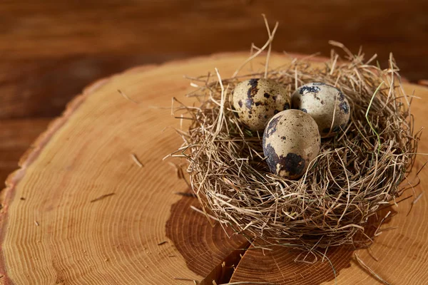 Bodegón conceptual con huevos de codorniz en el nido de heno en un tronco, de cerca, enfoque selectivo — Foto de Stock